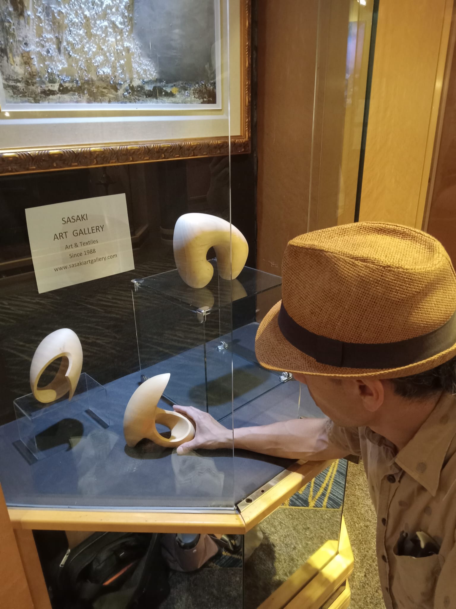 Art Gallery Display